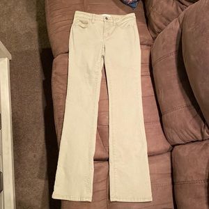 BKE Payton Boot Stretch Pant